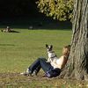Drug-Laced Human Waste In Prospect Park Could Be Making Dogs Sick
